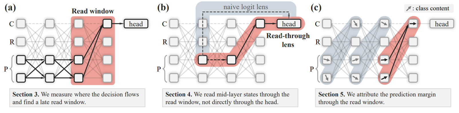 Read window, read-through lens and the anatomy-based attribution through the read window